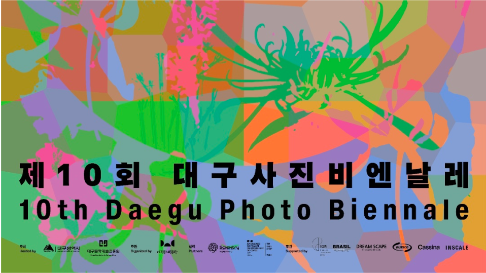 프리뷰 & 도슨트: 대구사진비엔날레