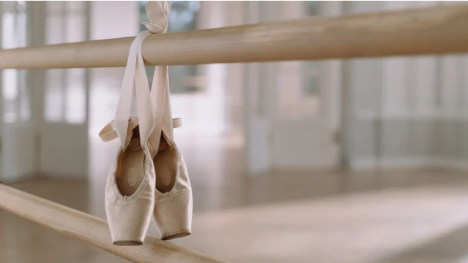 실루엣 워크샵: 메디컬 바레