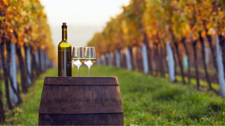 프랑스 VS 미국 레드와인, 보르도 블렌드 전쟁