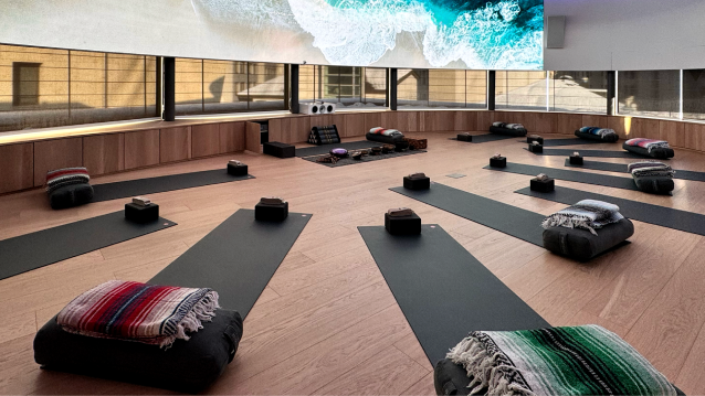 애프터눈 컬처 라이브: 웰니스 리트릿