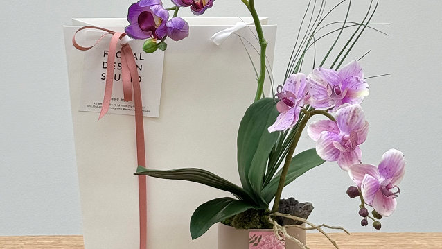 호접난 실크플라워 화분 디자인